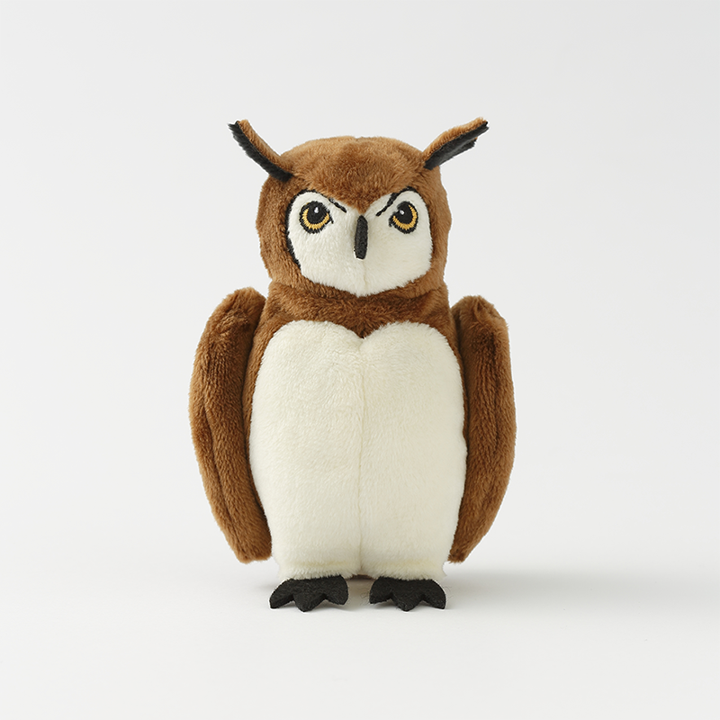 小さなミミズク フクロウの種類】日本最大級！世界一小さい名前・性格｜鳴き声や